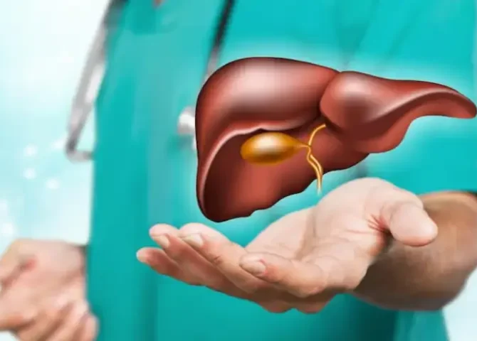 3D liver anatomy illustration with doctor