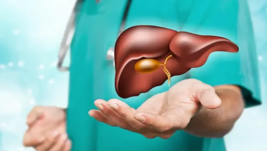 3D liver anatomy illustration with doctor, Get expert advice from a Liver Specialist for early-stage liver diseases like fatty liver and cirrhosis.