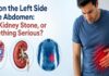 Pain on the Left Side of the Abdomen caused by gas, kidney stone, or digestive problems – Dr Kale’s Gastro Clinic